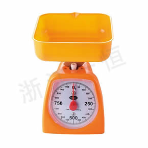 小學(xué)數(shù)學(xué)教學(xué)儀器彈簧度盤秤